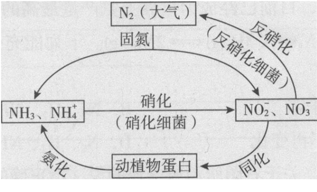 л޻ л޻ʲôͬ