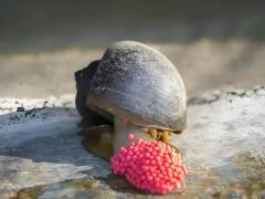 ݣ̿͵й
