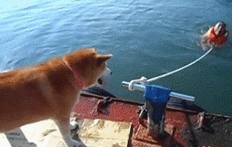 7cb4489agw1ekne4z28lag209605tkjl.gif